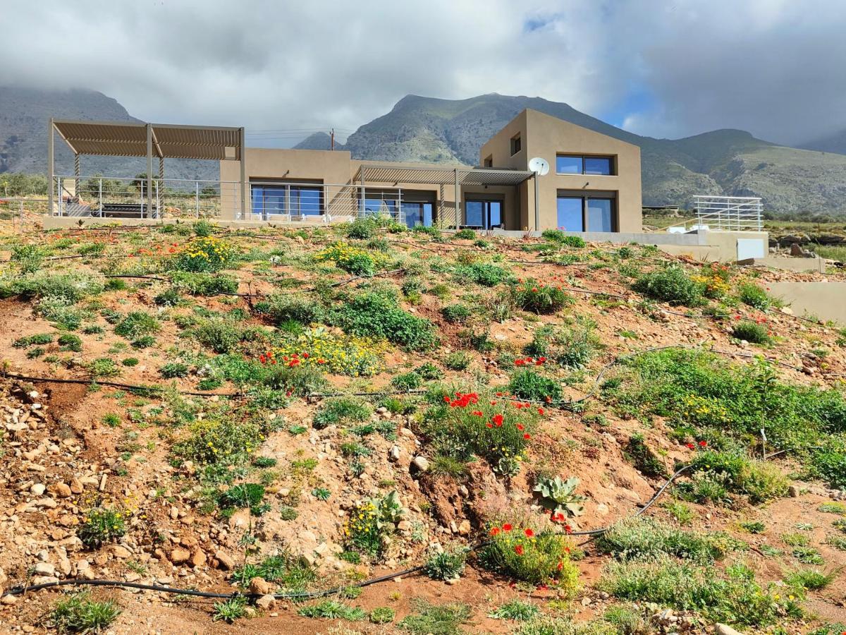 Olive And Aloe Villas Nomikianá Εξωτερικό φωτογραφία